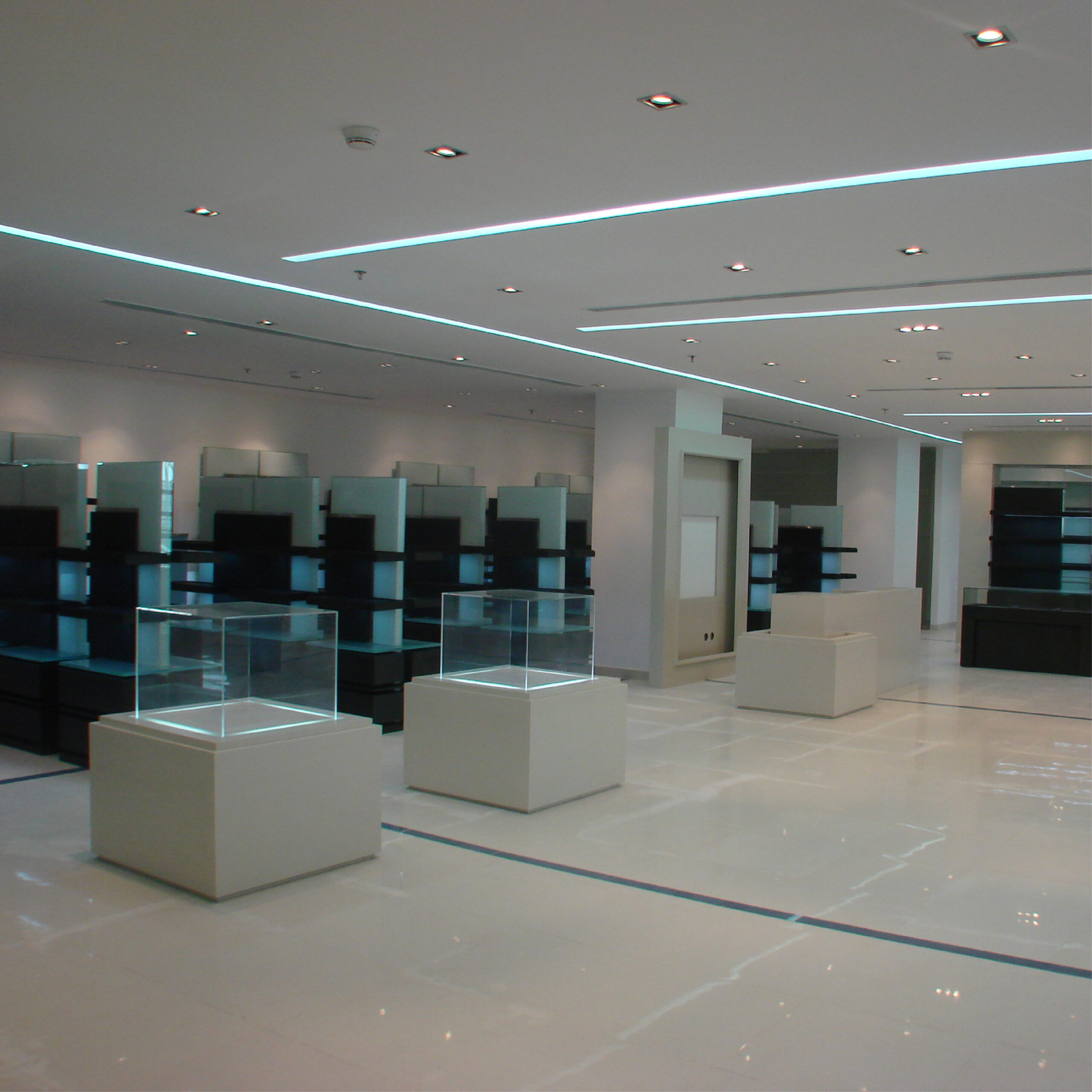 EDE projects_bughan show room 2